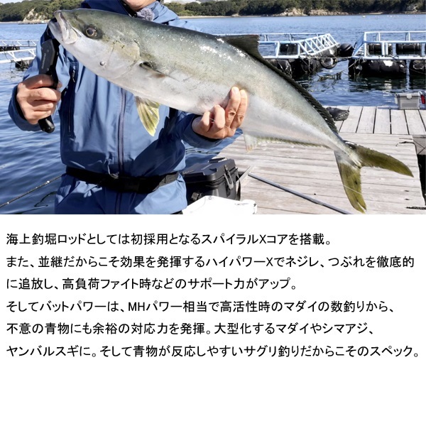 シーリアエクスチューン ベイトさぐり